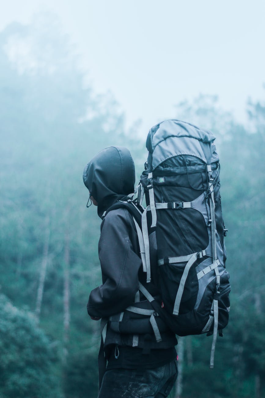 man wearing black hoodie carries black and gray backpacker near trees during foggy weather