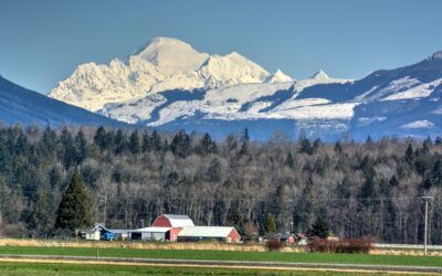 5 Best Hiking Trails In Washington State