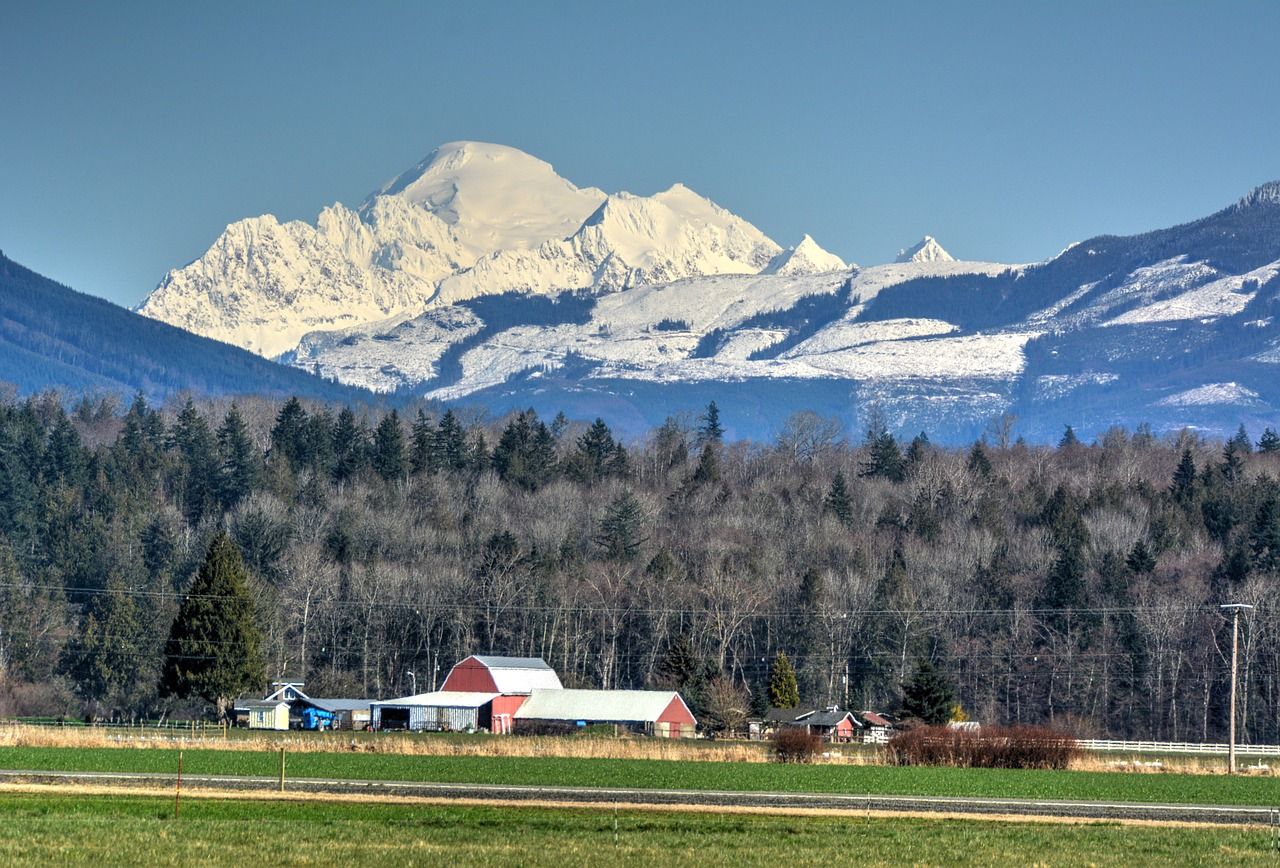 mount baker, snowy mountain, farm