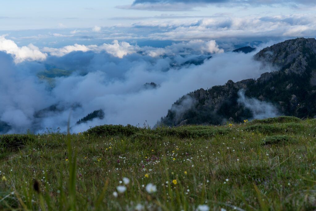 Mount Townsend