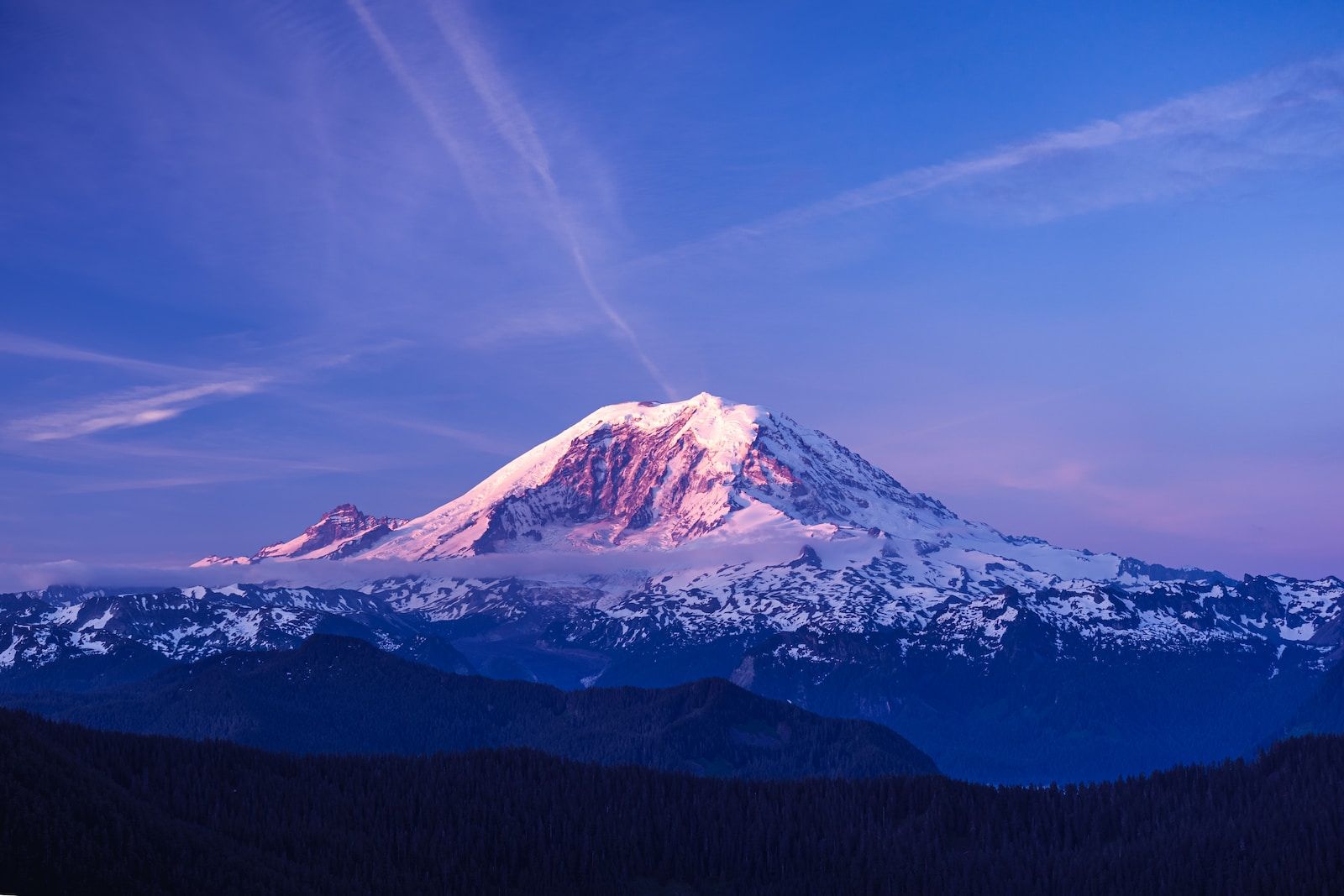 Mt. Rainier National Park