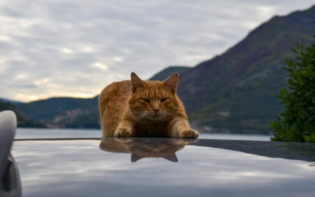 The Perfect Hiking Warm-Up
