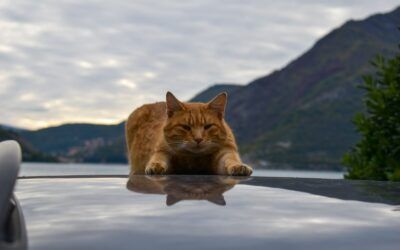 The Perfect Hiking Warm-Up