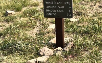 Strength Training For Hikers At Home
